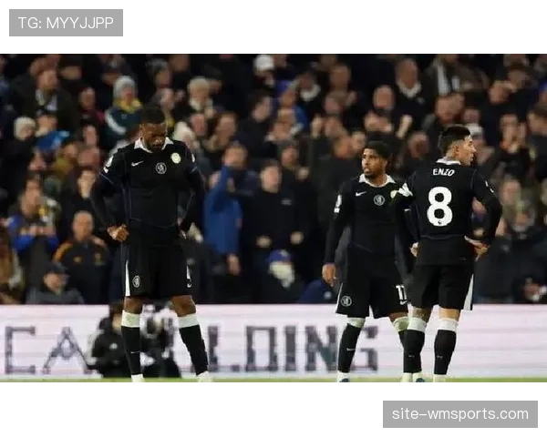 埃弗顿1-1战平利兹联 巴里连续两场破门救主